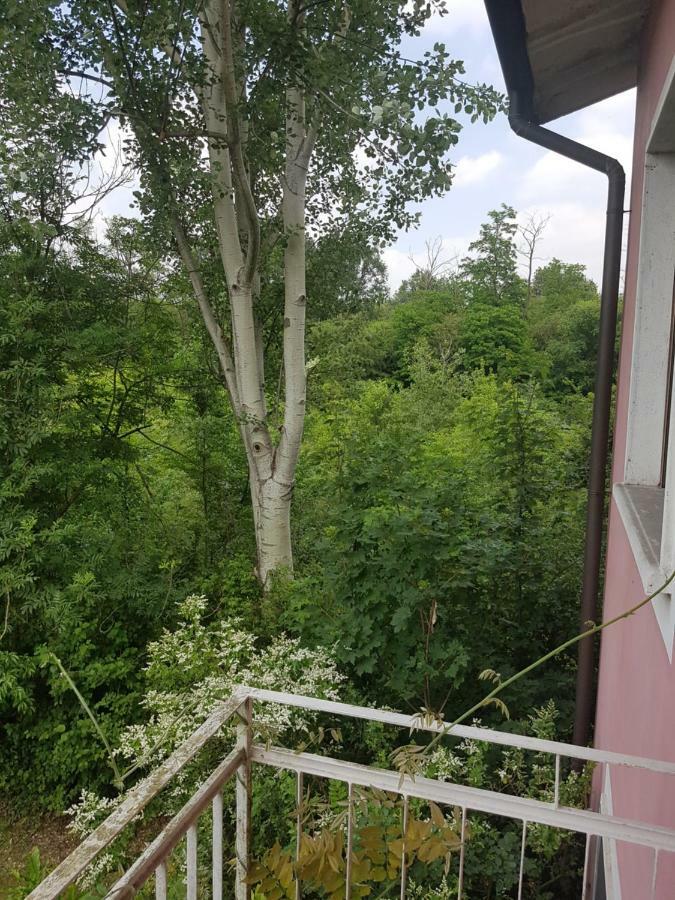 Le Case Nel Bosco Vanzago Экстерьер фото